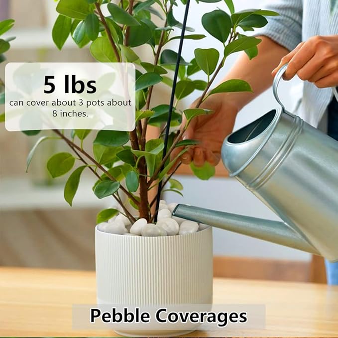 White Pebbles for Indoor Plants, Natural Polished River Rocks, Small Decorative Stones for Planters Vase Fish Tank Aquariums Landscaping Garden, 10lbs