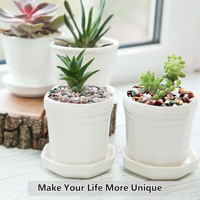 YISZM 5LB Succulent and Cactus Gravel Pebbles, 1/5 Inch Natural Decorative Polished Stones, River Rocks for Vases Gardening Indoor and Outdoor Decorative Rocks, Colorful