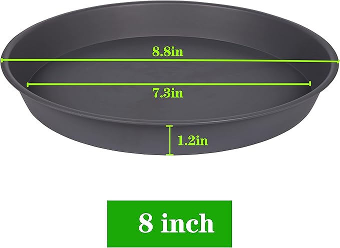Bleuhome 6 Pack of 7-8 inch Plant Saucer, Heavy Duty Plastic Plant Water Tray 8 inch Round, Flower Plant Saucers for Indoors No Holes, Plant Dishes Saucer for Planter 7"/8" (8", Cement Gray)