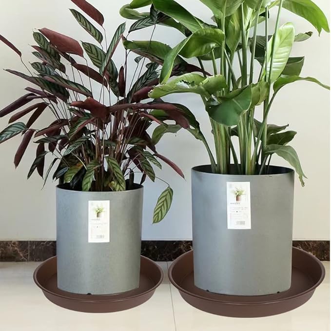 Bleuhome 4 Pack of 16 inch Plant Saucer, Heavy Duty Round Plant Trays for Pots, Bird Bath Bowls, Plastic Plant Water Tray, Flower Plant Saucers for Indoors (16", Chocolate)