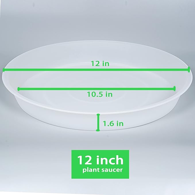 Bleuhome 6 Pack of 12 inch Plant Saucer Clear, Heavy Duty Plastic Plant Saucer 12 inch Round, Durable Plant Tray for Pots, Plant Saucers for Indoors, Plant Trays for Planter 10"/11"/12" (12", Clear)