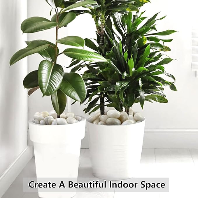 40lbs White River Rocks for Garden Landscaping, 1-2 Inch Natural Pebbles for Indoor Plants, High Polished Decorative Stones Outdoor and Indoor DIY Vase Filler Fish Tank Aquariums