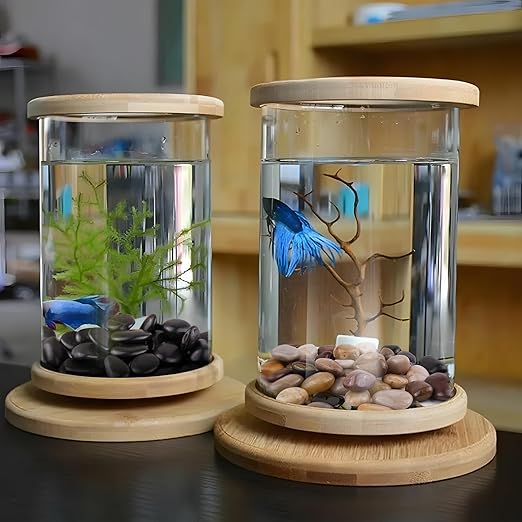 5lbs Pebbles for Indoor Plants, 1-2Inch Mixed Color Natural River Rocks for Aquarium, High Polished Decorative Stones for Vase Filler Fish Tank Landscaping Garden