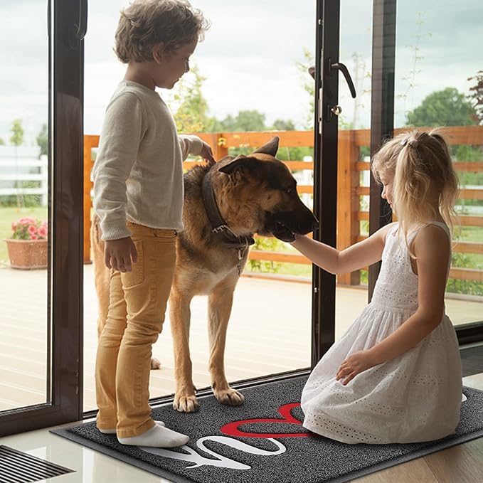 Door Mat, Welcome Mat Low Profile Floor Mat Front Doormat Indoor and Outdoor Doormat Non Slip Rugs for Entryway, Patio, High Traffic Areas (30"x17.5", Grey-Home)
