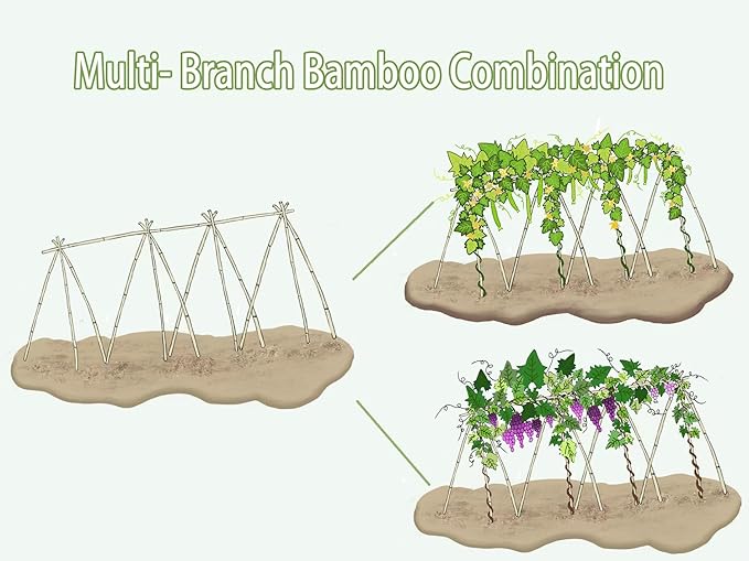 Plant Bamboo Post, 5 Feet, Bamboo Garden Stakes, 50 Pcs Bamboo Stakes, for Tomato, Beans, Vegetable and Flowers, Potted Plants, Indoor and Outdoor Climbing Plants