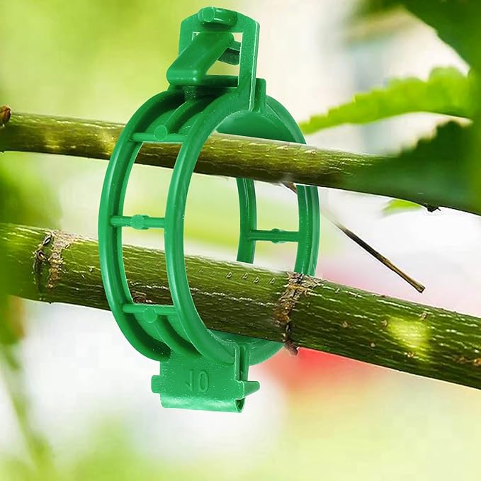 HFXXAD 400PCS Plant Support Clips, Tomato Clips, Plastic Garden Clips, Vine Clips for Tomato Cucumber Flower Squash Vine, 1.2” Inner Diameter, Prevent Tomatoes from Pinching or Falling Off（Green） ﻿