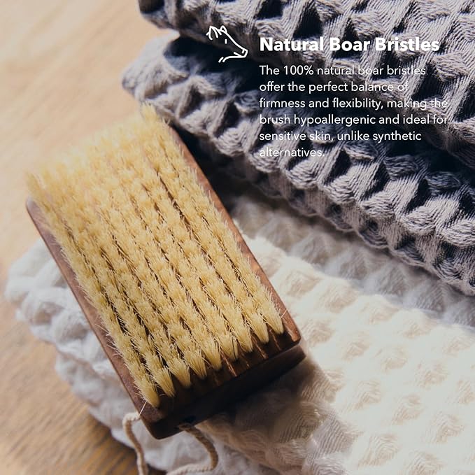 Luxury Natural Walnut Wood Boar Bristle Body Brush | Exfoliating & Detoxifying for All Skin Type | Sweeps Away Dead Skin Cells for Luminous, Smooth Skin | for Wet and Dry Use (Handheld)