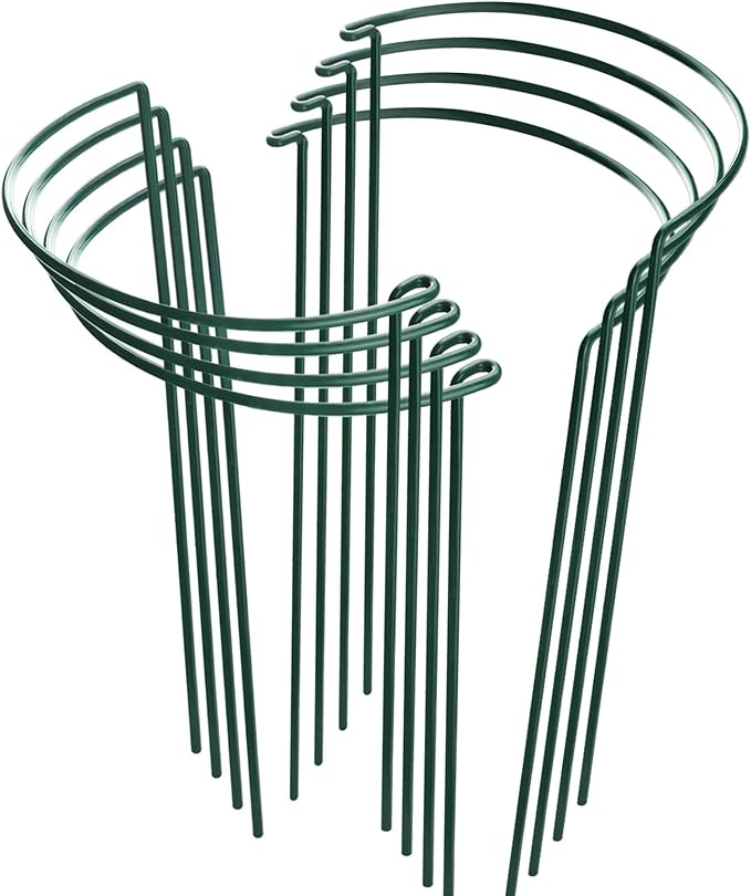 HiGift 8 Pack Plant Support Stakes, Half Round Metal Garden Plant Stake Indoor Peony Cages and Supports, Green Plant Support Ring Border for Tomato, Hydrangea, Flower Outdoor (10" Wide x 15.8" High)