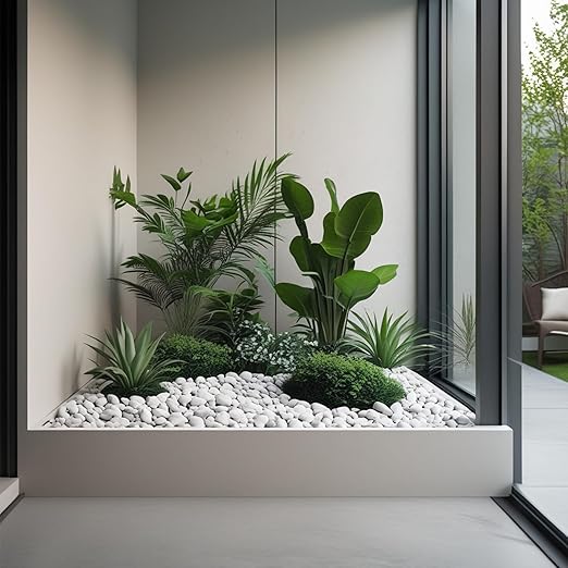 White Rocks for Plants, 2-3 Inch Large Pebbles for Indoor Plants, 5 lbs River Rocks Decorative White Stones, Ideal for Fish Tank, Vases, Crafting, Home Decor and Garden Landscaping Rocks