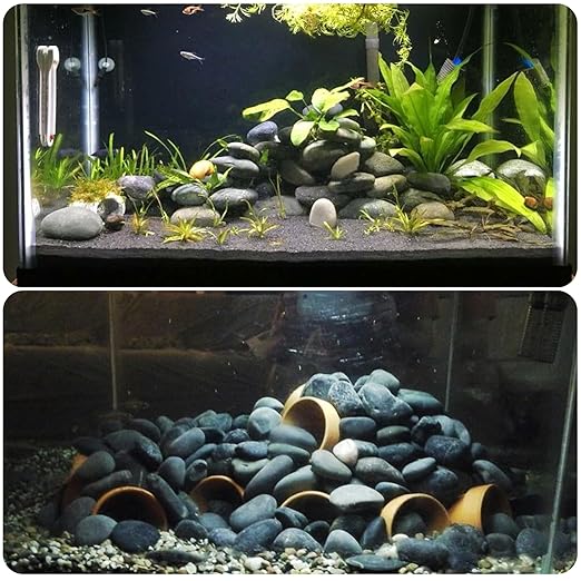 2-3 Inch Large River Rocks for Landscaping, 20lbs Big Black Pebbles, Hand-Picked Premium Stones for Garden, Fish Tank, Flower Pots, Pathways and Backyard