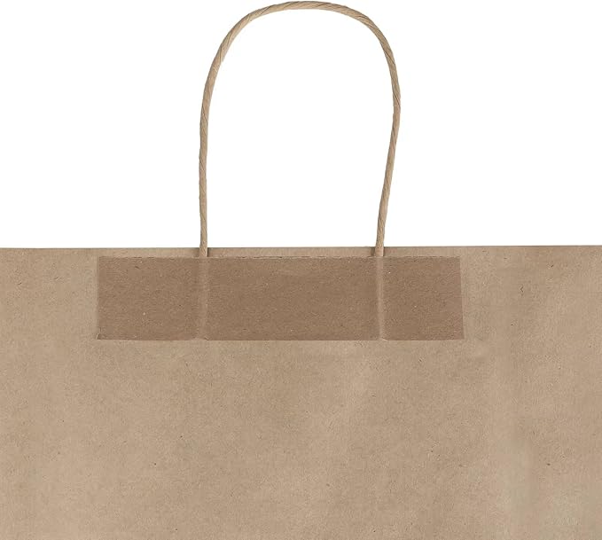 bagmad 100 Pack 8x4.75x10 Inch Medium Brown Paper Gift Bags with Handles Bulk, Thank You Kraft Paper Bags for Party Favors Grocery Retail Shopping Wedding Craft Sacks (Plain Natural, 100pcs Count)