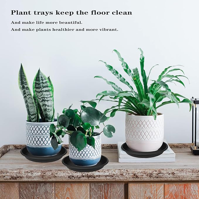 Grjoprt 2 Pack of 14 inch Plant Saucer, Plastic Plant Saucer 14 inch, Bird Bath Bowls, Heavy Duty Plant Tray for Pots, Plant Saucers for Indoors Planter, Garden Water Plate 12"/13"/14" (Black)