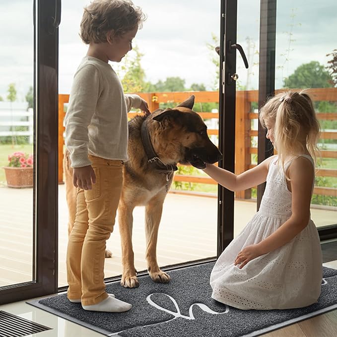 Door Mat (36"x24",Dark Grey), Welcome Mat Low Profile Front Doormat Non Slip Mats for Entryway, Patio, High Traffic Areas