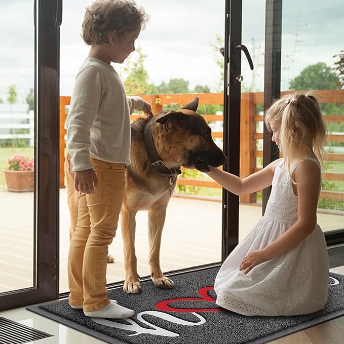 Door Mat, Welcome Mat Low Profile Floor Mat Front Doormat Indoor and Outdoor Doormat Non Slip Rugs for Entryway, Patio, High Traffic Areas (36"x24", Grey-Home)