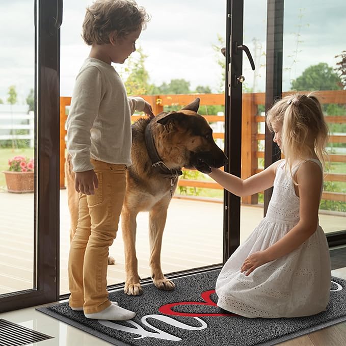 Door Mat, Welcome Mat Low Profile Floor Mat Front Doormat Indoor and Outdoor Doormat Non Slip Rugs for Entryway, Patio, High Traffic Areas (32"x20", Grey-Home)