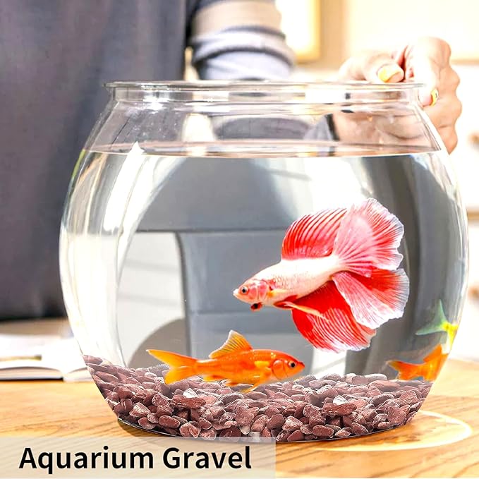 FANTIAN 2 lbs Succulent and Cactus Pebbles Gravel, 3/8 Inch Decorative Red River Rocks for Plants Indoor, Vases, Terrariums, Potted Top Dressing and Outdoor Decorative Stones