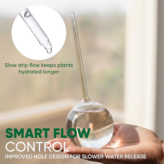 Mission Gallery Clear Plant Watering Globes Set of 6 - Large Self Watering Globes for Indoor & Outdoor Plants - Automatic, Glass Watering Bulbs for Daily Use, Plant Watering Devices