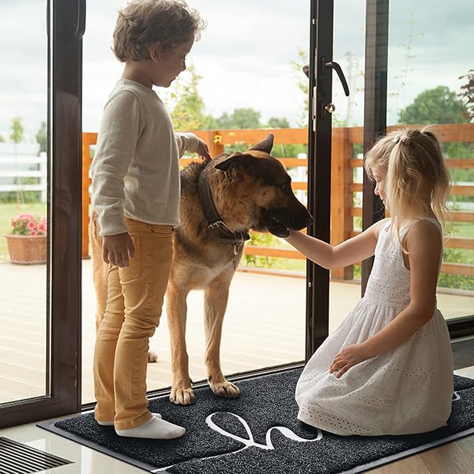 Door Mat (36"x24",Black) Welcome Mat Low Profile Front Doormat Indoor Outdoor Door Non Slip Rugs for Entryway, Patio, High Traffic Areas