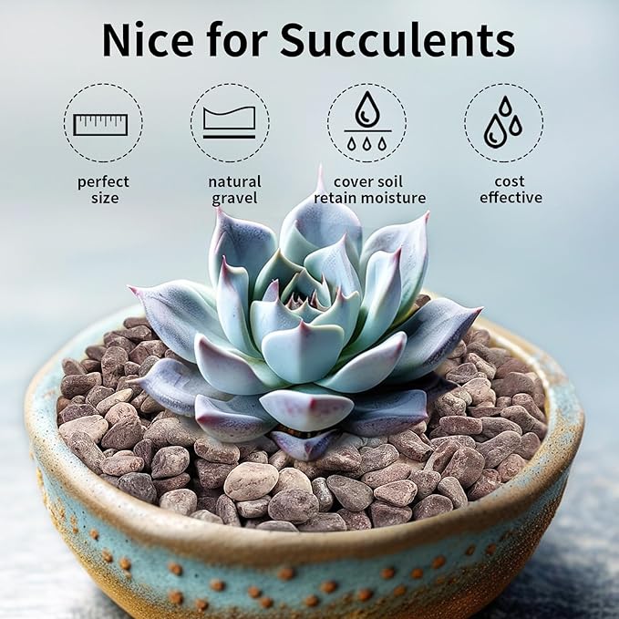 FANTIAN 10 lbs Pebbles for Plants, 3/8 Inch Pea Gravel Stones Decorative Red River Rocks for Succulent, Cactus, Landscaping, Vases, Terrarium, Aquarium, Potted Top Dressing and Outdoor Garden