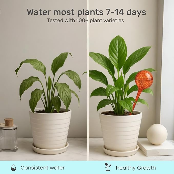 Little Green Leaf Automatic Plant Watering Globes Self Watering Planter Inserts (Set of 6) | Hands-Free Multicolor Glass Bulbs | Planter Spikes to Support Indoor & Outdoor Plant Health (350ml)