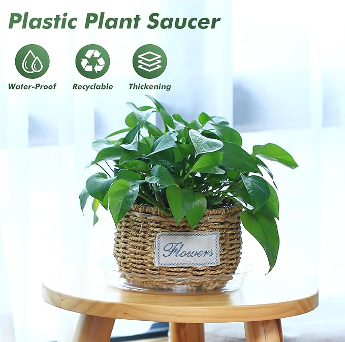 UltraOutlet 32 Pack Clear Plant Saucers for Indoors (6, 8, 10, 12 inch) Drip Trays to Catch Water Indoor Plants Plastic Plant Trays Bulk