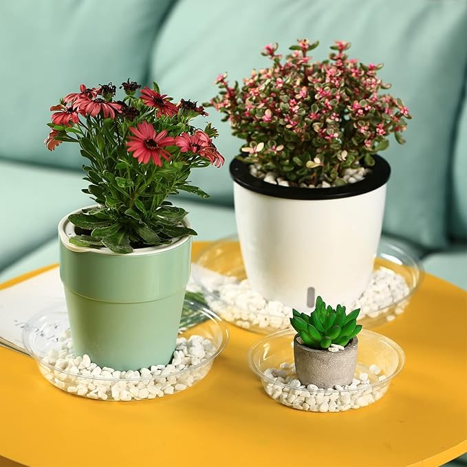 50 Packs 14" Large Clear Plant Saucers for Indoor Outdoor Use Heavy Duty Plastic Plant Trays for Planter Bulk Flower Pot Drip Trays to Catch Water, 4 to 20 Inch