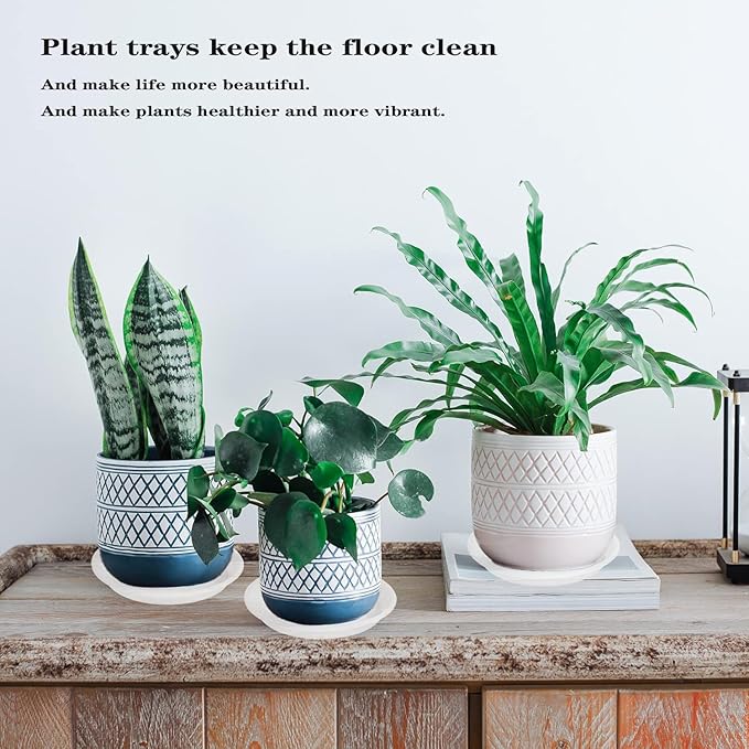Grjoprt 6 Pack Clear Plant Saucer 8 inch, Heavy Duty Plastic Plant Water Tray, Planter Saucers, Flower Pot Tray, Planter Tray, Bird Bath Bowls, Water Trays for Plant Pots 7"/8" (Clear)