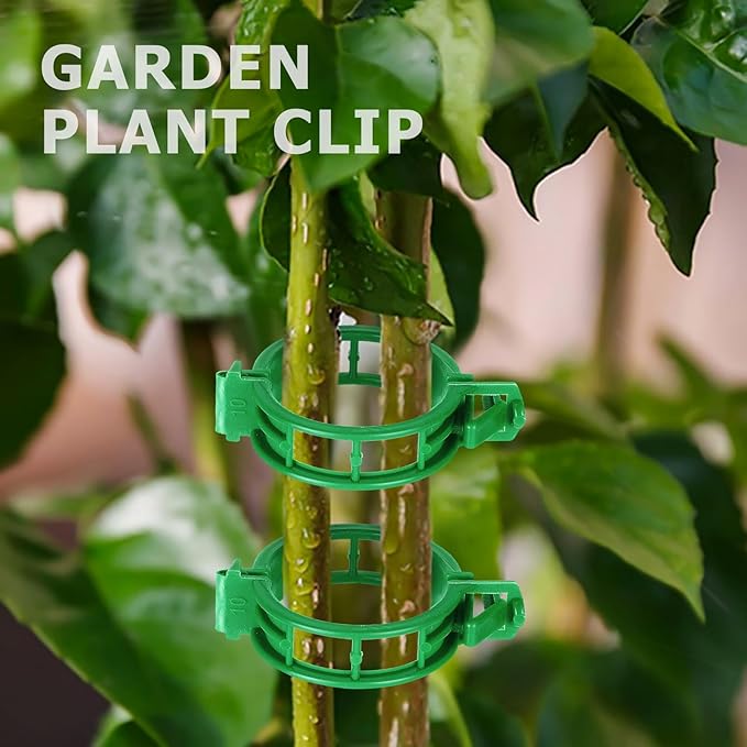 HFXXAD 400PCS Plant Support Clips, Tomato Clips, Plastic Garden Clips, Vine Clips for Tomato Cucumber Flower Squash Vine, 1.2” Inner Diameter, Prevent Tomatoes from Pinching or Falling Off（Green） ﻿