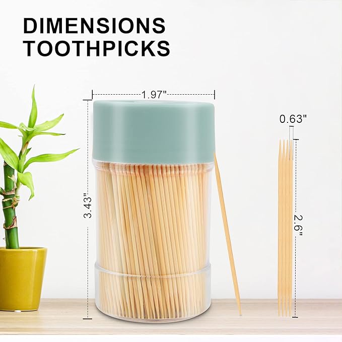 Bamboo Wooden Toothpicks [3000 Count]-With 2-Pack Reusable Toothpick Holder, Sturdy Smooth Finish Tooth Picks, For Appetizer, Olive, Barbecue, Fruit, Teeth Cleaning Toothpicks, Green.