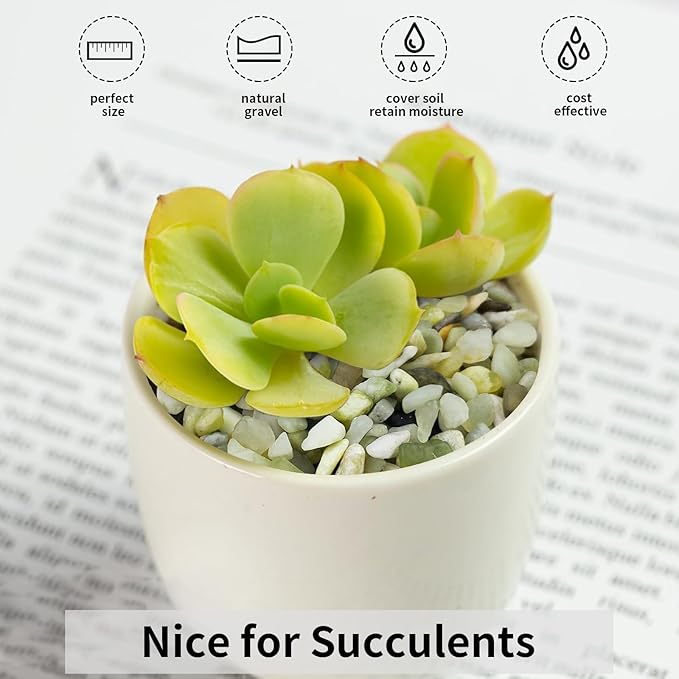 FANTIAN 2 lbs Jade Rocks for Plants Indoor, 3/8 inch Small Pebbles for Indoor Plants, Decorative Rocks for Succulents Cactus Bamboo Vases Landscaping Drainage and Outdoor Garden Rocks