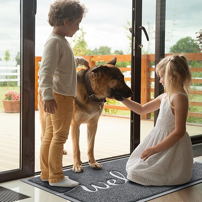 Door Mat, Welcome Mat Low Profile Floor Mat Front Doormat Indoor and Outdoor Doormat Non Slip Rugs for Entryway, Patio, High Traffic Areas (36"x24", Grey-Welcome)