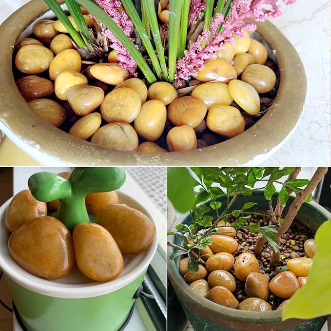 Rocks for Plant 2lbs, Yellow River Rocks 1-2 Inch Natural Pebbles for Indoor Plants, High Polished Decorative Stones Vase Filler Fish Tank Aquariums Landscaping Garden