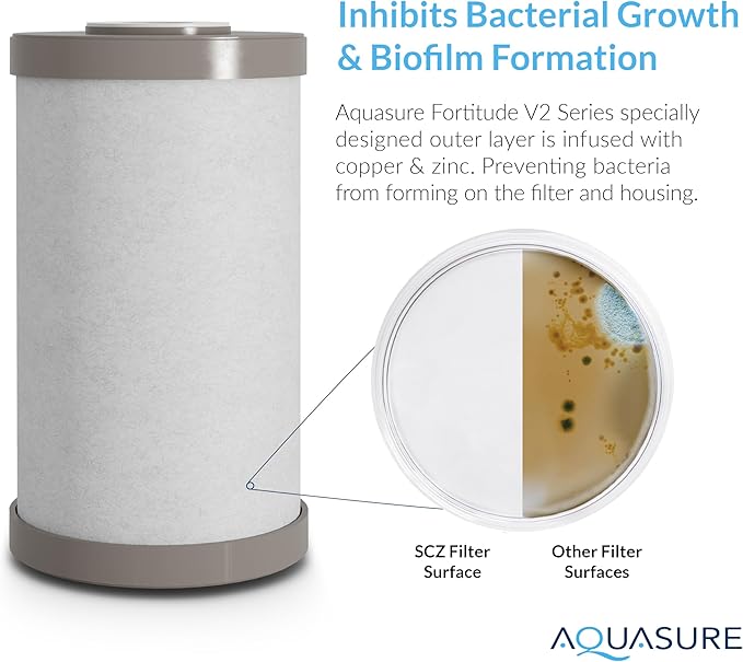 Fortitude V2 Series Sediment/Carbon/Zinc Bacteria Inhibiting Triple Purpose Replacement Filter - Standard (Sediment/Carbon/Zinc, Standard)