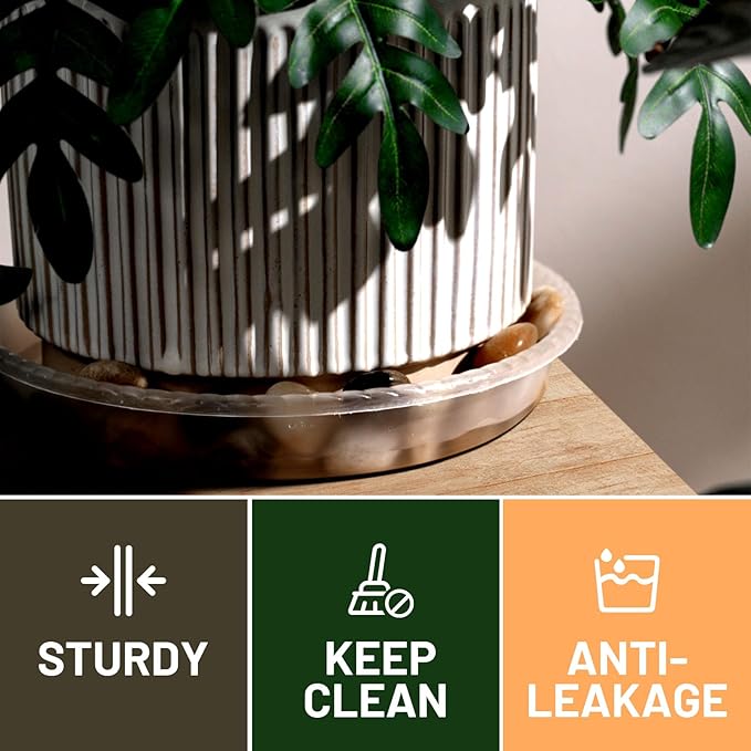 MUDEELA 6 Pack of 6 Inches Plant Saucers for Indoor, Durable Plastic Round Plant Tray Plant Dish Pant Plate to Catch Water for Flower and Plant Pot, Thicker, Stronger, Deeper, Clear