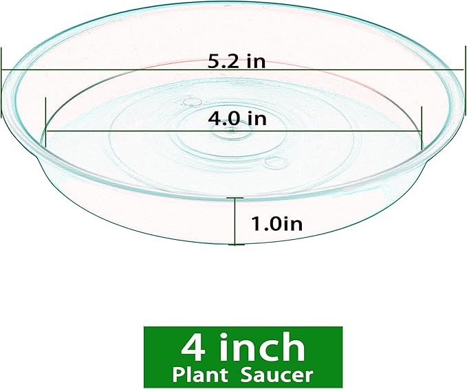 Bleuhome 6 Pack Plastic Plant Saucer Water Drip Tray, 4 5 6 7 8 9 10 11 12 inch, Heavy Sturdy Plant Drainage Tray for Indoors Outdoor, Flower Saucers for Pots Base (4", Clear)