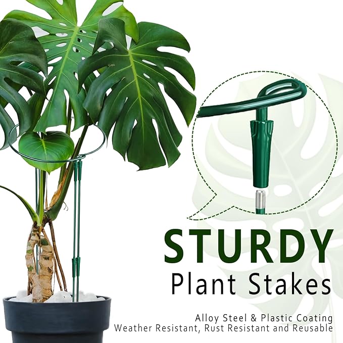 Soupiar 6 Pack Threaded Lock Metal Plant Support Stakes - 25" H Tall Peony Cage, Reusable Detachable Garden Ring for Hydrangea/Rose Bush/Potted Flowers, Indoor Outdoor Heavy Duty (10" W)