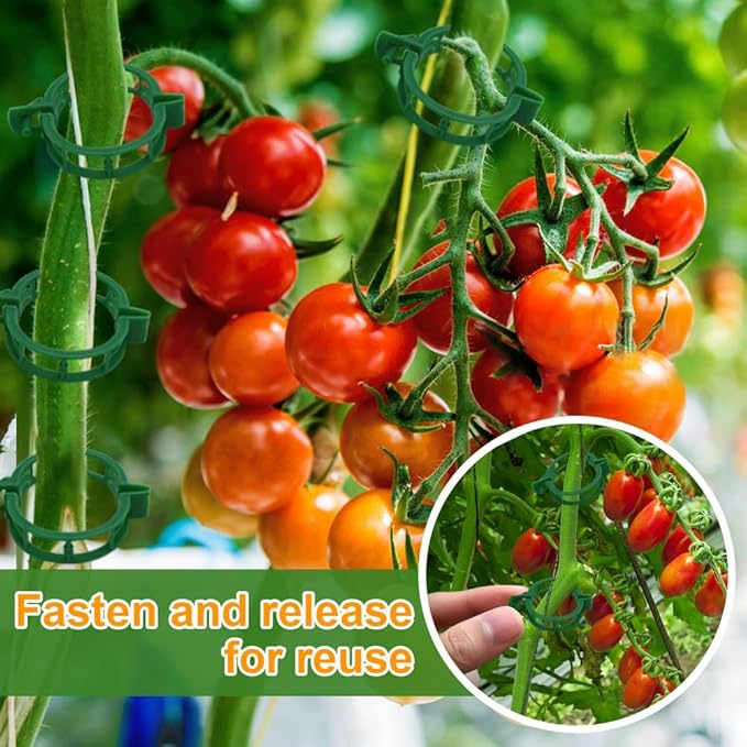 PEOUWNES 200 Pcs Plant Support Tomato Clips, Garden Clips, Crop Clips for Vine Vegetables, Fixing Tomato, Sweet Pepper, Eggplant, Makes Plants Grow Upright and Healthier（Green）