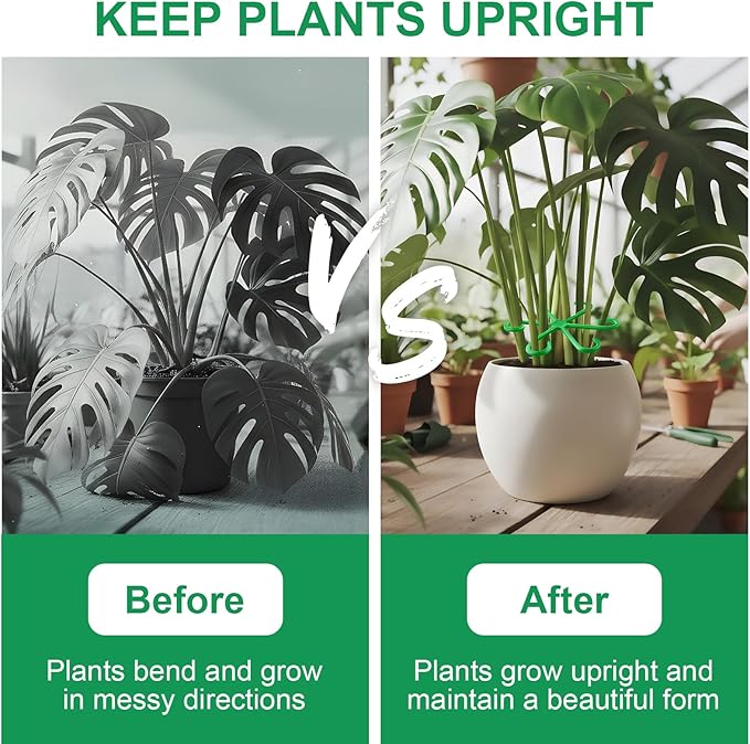8 PCS Plant Stem Support – Reusable Plastic Plant Stem Holder for Monstera, Indoor Plant Support Clips, Gardening Accessories （Green）