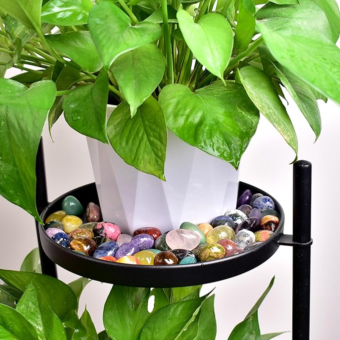 Polished Stone Set Clear Quartz Crystals, 0.8" Handpicked Tumbled Gemstones Rocks, Pebbles for Reiki, Chakra, Healing, Home Decor