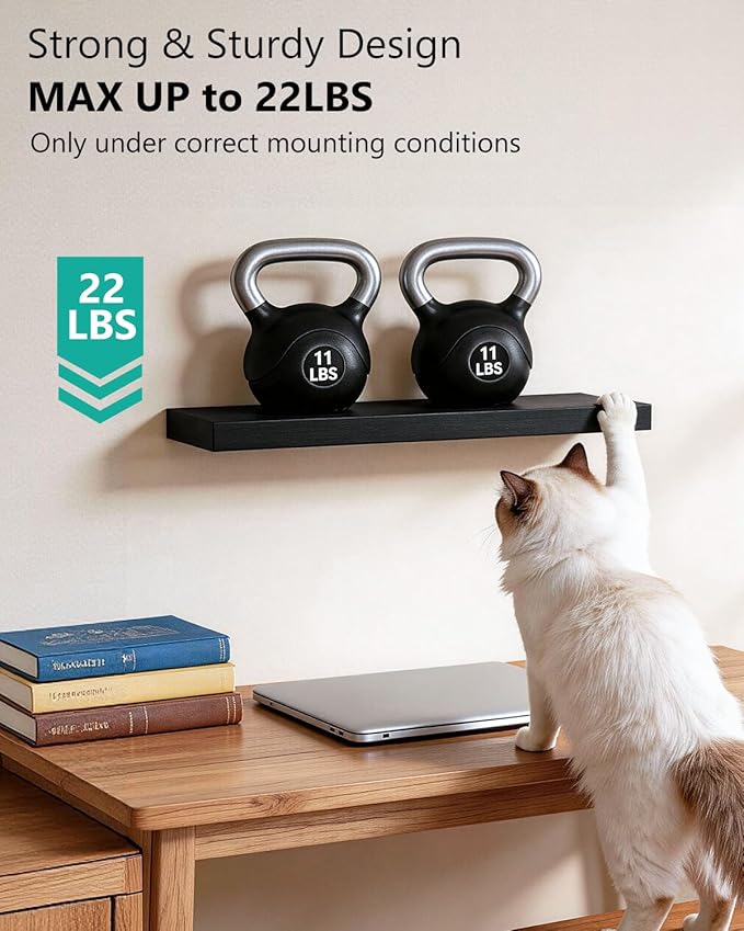 WALI Floating Shelves for Wall, 1 Tier Bathroom Storage Shelf Over Toilet, for Bedroom Bookshelf, Living Room Decor, Kitchen, Nursery, Laundry, Soundbar Floating Shelf Mount Under TV (CS101L), Black