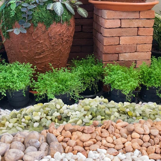 YISZM 2LB Succulent and Cactus Pebbles, 1/5 Inch Jade Natural Decorative Polished Stones, River Rocks for Indoor Plants, Vases, Planters and Outdoor Gardening
