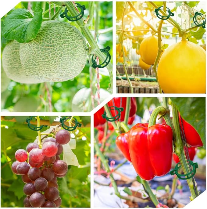 PEOUWNES 200 Pcs Plant Support Tomato Clips, Garden Clips, Crop Clips for Vine Vegetables, Fixing Tomato, Sweet Pepper, Eggplant, Makes Plants Grow Upright and Healthier（Green）