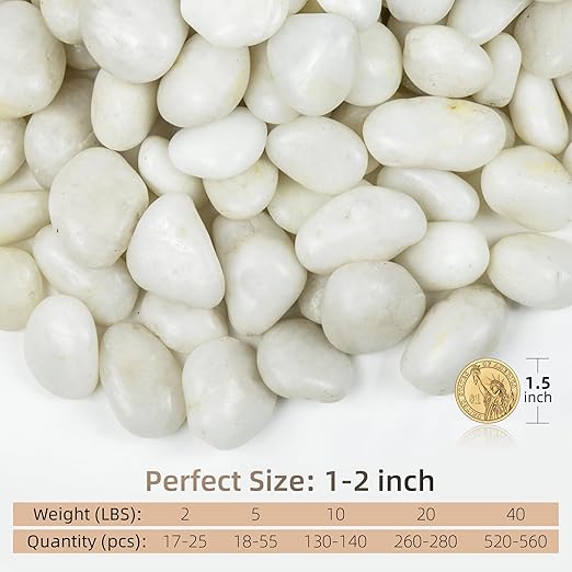 5lbs White Pebbles for Indoor Plants, 1-2Inch Natural River Rocks for Aquarium, High Polished Decorative Stones for Vase Filler Fish Tank Landscaping Garden