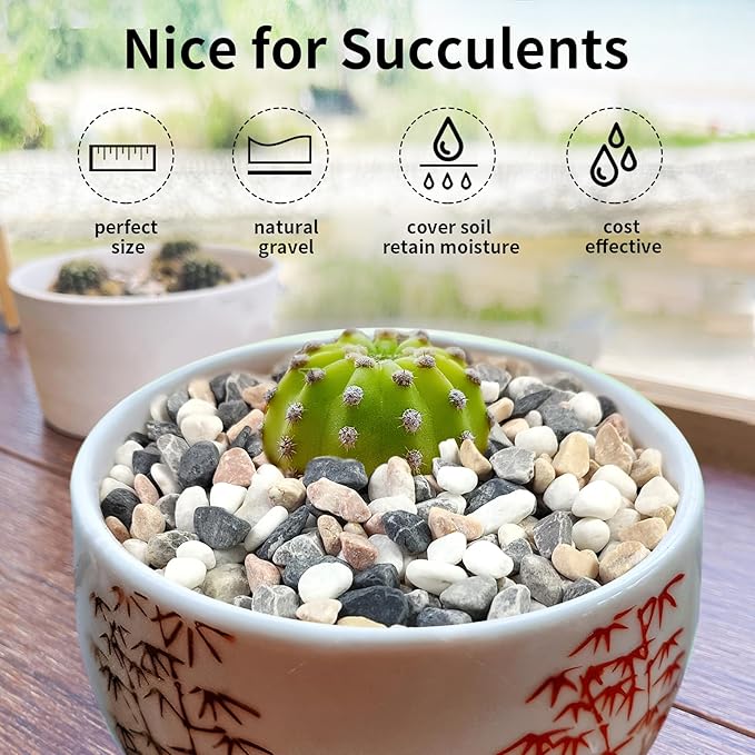 FANTIAN 2 lbs Succulent and Cactus Pebbles Gravel, 3/8 Inch Mixed Color Decorative River Rocks for Plants Indoor, Vases, Terrarium, Potted Top Dressing and Outdoor Decorative Stones