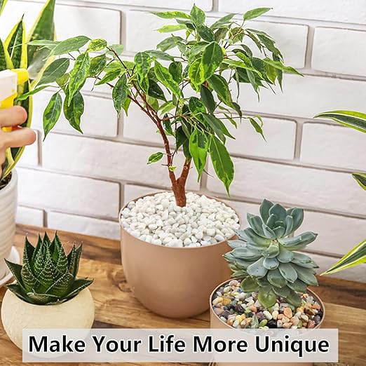 YISZM 10LB Succulent and Cactus Gravel Pebbles, 3/8 Inch Natural Decorative Polished Stones, River Rocks for Plants, Vases, Aquariums, Terrarium and Outdoor Gardening, White
