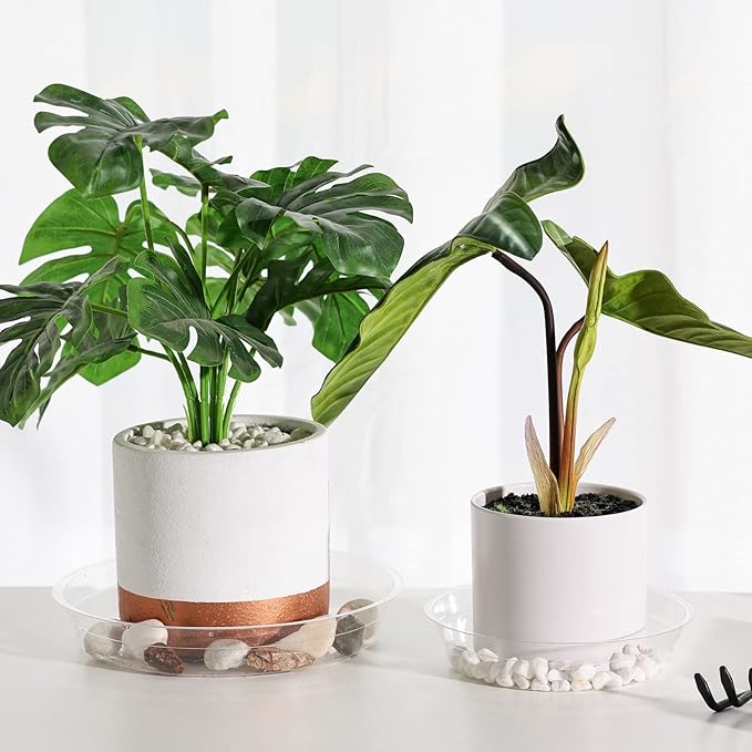 TRUEDAYS 15 Pack(6 inch/8inch/10inch) Clear Plant Saucers Flower Pot Tray Excellent for Indoor & Outdoor Plants