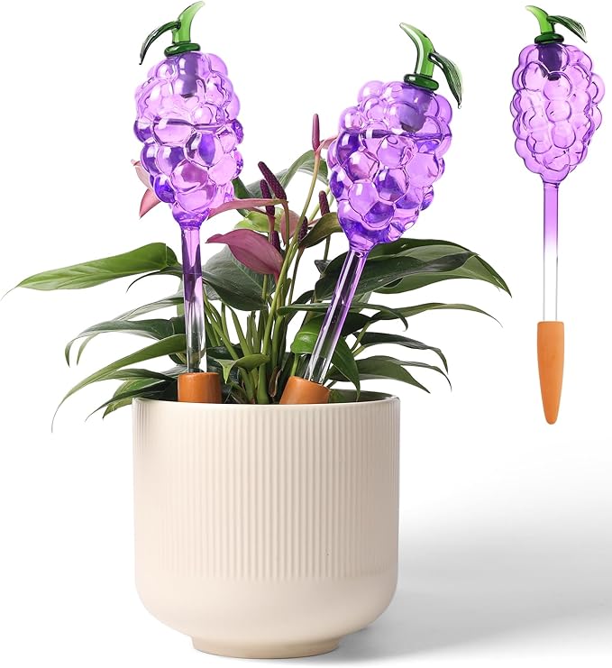Yurucenus Plant Watering Globes, Grape Shape Self Watering Globes, Plant Watering Devices, 3PCS Purple+Green Color Clear Glass Bulbs Self Watering Planter Insert