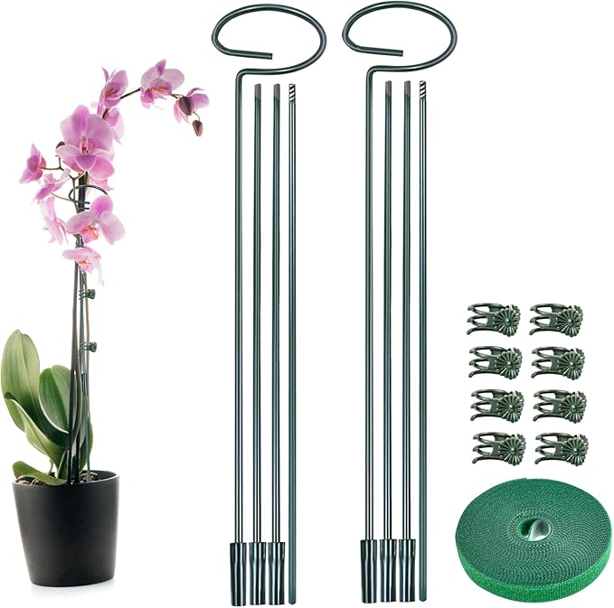 2 Set Metal Plant Sticks Support Tall 48 Inch Adjustable Plants Stem Support Rod Amaryllis Holder Stake Garden Flower Rings with 20PCS Clips 16.5' Plant Ties for Outdoor Indoor Plants