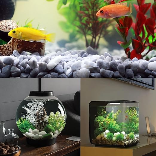 White Rocks for Plants, 1-2 Inch Pebbles for Indoor Plants, 5 lbs River Rocks Decorative White Stones, Ideal for Fish Tank, Vases, Crafting, Home Decor and Garden Landscaping Rocks