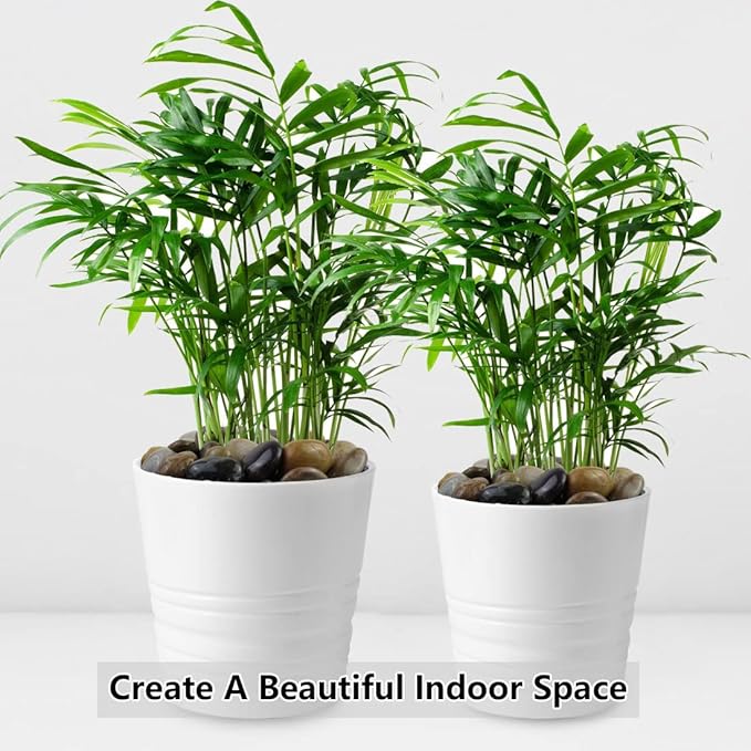 2lbs Pebbles for Indoor Plants, 1-2 Inch Mixed Color High Polished River Rocks Outdoor Decorative Stones Vase Filler Fish Tank Aquariums Landscaping Garden Outdoor and Indoor DIY